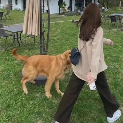 救世超能:永无止境